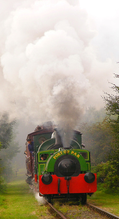 Judy and Renishaw pass bobgins with passenger train